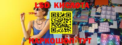 хмурый Кингисепп