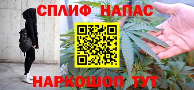 хмурый Кингисепп