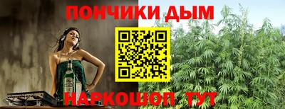 хмурый Кингисепп