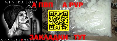 хмурый Кингисепп